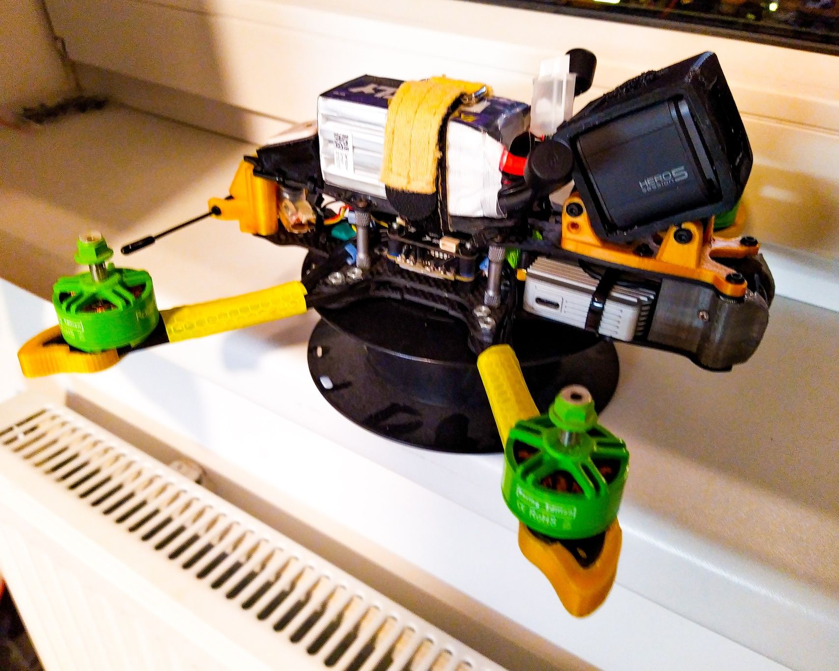 kwad-pp_croc-01.jpg