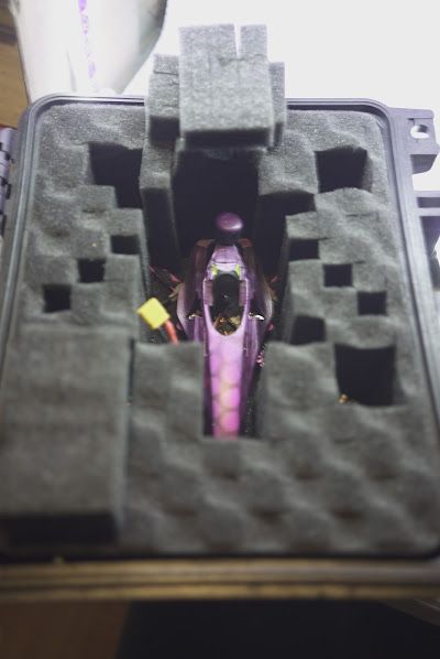 tiny-champion-01-02.JPG
