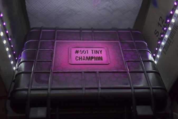 tiny-champion-01-03.JPG