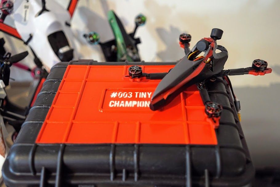 tiny-champion-03.jpg